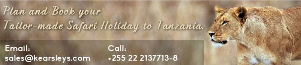 plan book tailor made safari Planning a Travel to Tanzania Efficiently