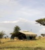Ndutu Under Canvas Safari Camp