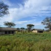 Nieleze Serengeti Camp