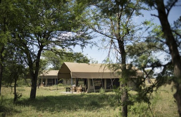 Ubuntu Camp Serengeti