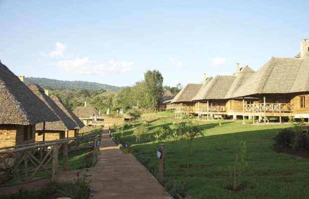 Exploreans Ngorongoro