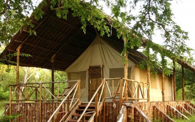 selous riverside safari camp