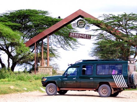 serengeti national park safari