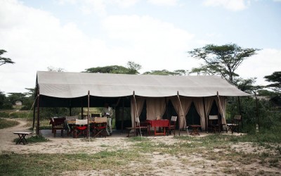 serengeti savannah camp