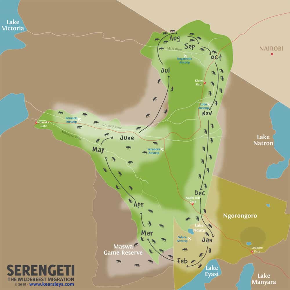 serengeti-wildebeest-migration-map